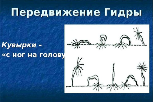 Kraken shop ссылка