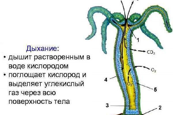 Омг оригинал