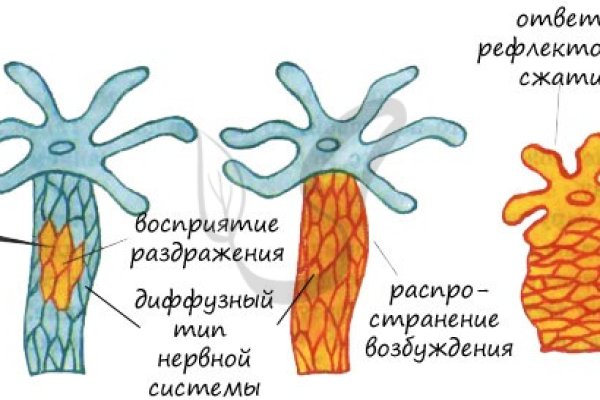 Кто создал блэкспрут